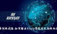 提币到账问题：如何解决Bitpip钱包延迟到账的问