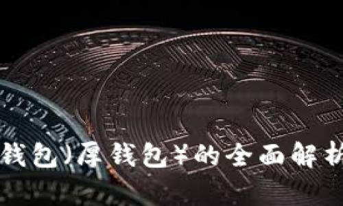 比特币核心钱包（厚钱包）的全面解析与使用指南