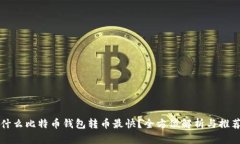 什么比特币钱包转币最快？全方位解析与推荐