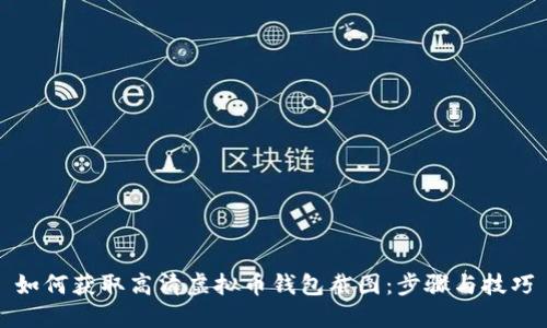 如何获取高清虚拟币钱包截图:步骤与技巧