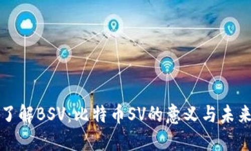 深入了解BSV：比特币SV的意义与未来发展